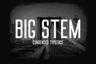 Big Stem: Bold Font for Big Impact
