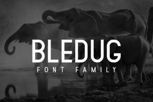 Bledug Family Font for Business