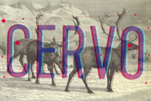 Cervo Font: A Modern Typeface for Memorable Marketing
