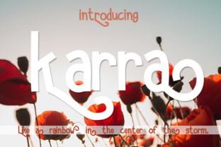 Karra: A Modern Sans Serif Review
