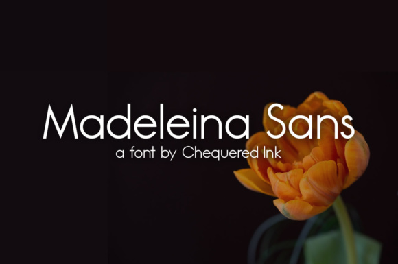 Madeleina: A Clean Sans for Campaigns