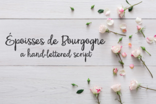 PN Époisses De Bourgogne Font Review for Brand Designers