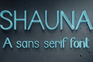 Shaun: A Professional Sans Serif for Your Brand