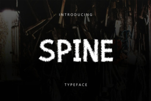 Spine Typeface: A Modern Font for Web Design