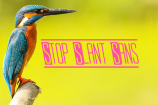 Stop Slant Sans: A Font for Creative Makers