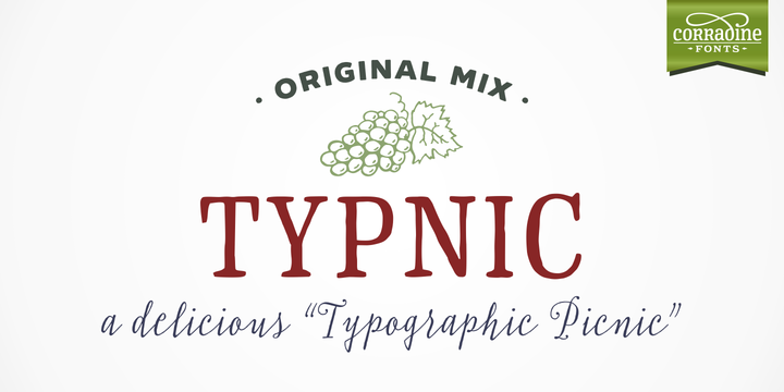 Typnic Family: Handmade Sans Serif Magic