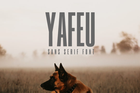 Yafeu Family: A Luxurious Sans Serif